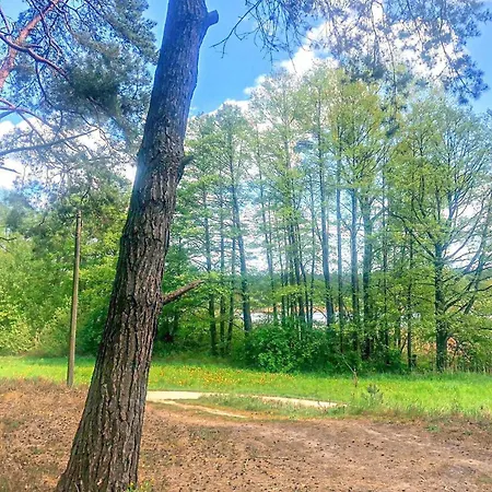 Semesterbostad 1 Bedroom Lovely In Suedmueritz